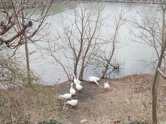 -黄陂区野村谷景区