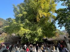 -潭柘寺景区