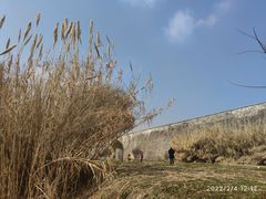 -明中都皇故城及皇陵石刻