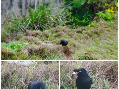 -平潭岛•仙人井