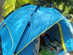 -铁山坪森林公园