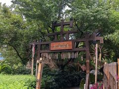-云南民族村