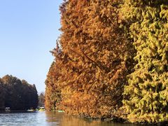 -上海海湾国家森林公园