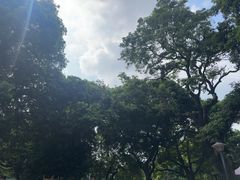 -天河儿童公园