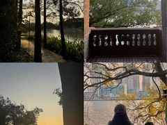 -江心屿景区