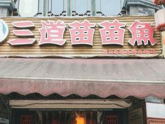 -三道苗苗鱼(三道堰老字号店)