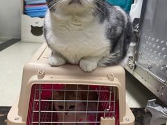 -美联众合动物医院·24h转诊中心