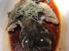 清蒸石斑鱼-鱼乐轩·俄罗斯海鲜直供餐厅(群力店)