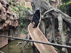 -长鹿旅游休博园