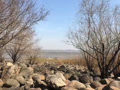 -上海吴淞炮台湾国家湿地公园