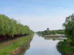 -千年枣林游览区