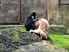 -昆明动物园