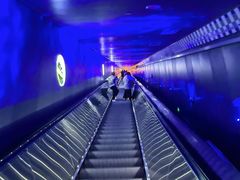 -白鹤梁水下博物馆