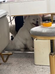 -米莱摄影写真(五大道别墅店)