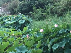 -北京宽沟会议中心