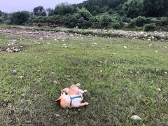-十三陵水库