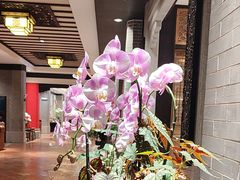 -龙悦湾酒家·八阵鱼生·渔人码头店