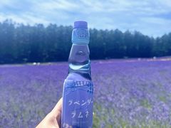 -富田农场