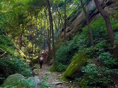 -大岭沟猕猴桃谷风景区