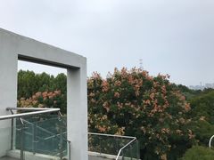 -武汉荟聚