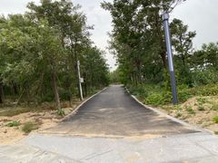 -仙人岛风景区