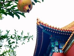 -故宫博物院(故宫)