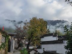 -塔川景区