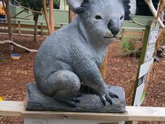 -费瑟代尔野生动物园