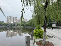-文瀛公园