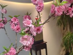 -食悦江南·淮扬菜·烤鸭(亚运村·惠新店)