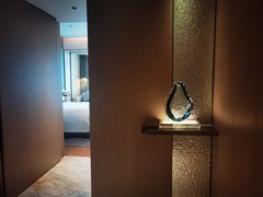 -深圳国际会展中心希尔顿酒店(前海华发冰雪世界店)