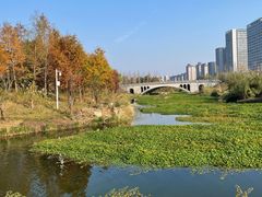 -洋湖国家湿地公园