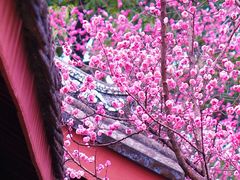 -望江楼公园