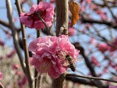-北京明城墙遗址公园