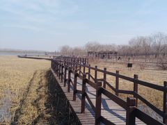 -西青郊野公园
