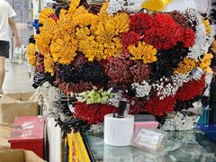 -赛格电子市场(华强北路店)