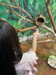 -Zoolung Zoolung动物主题公园(海信广场店)