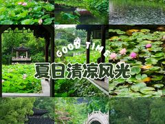 -南园(太仓市)