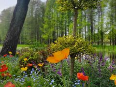 -上海共青森林公园