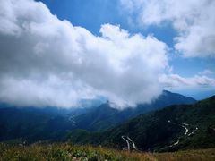 -白草畔自然风景区