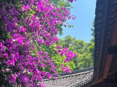 -成都杜甫草堂博物馆