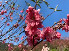 -广州市石门国家森林公园