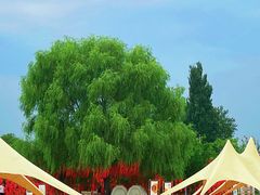 -乔家大院文化园区