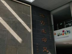 -中国地质大学逸夫博物馆