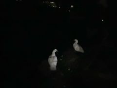 -蜜雪冰城(国权路地铁口店)