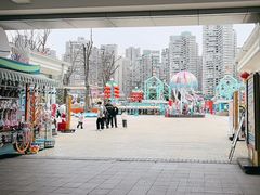 -海合安成都极地海洋公园