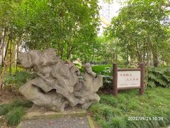 -陈家山荷花公园
