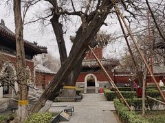 -北京艺术博物馆(万寿寺)