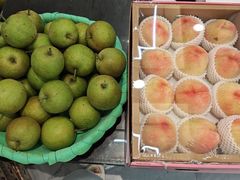 -旺山·浪头人家