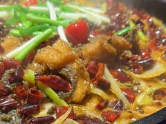 -老板恋上鱼(恒隆广场店)